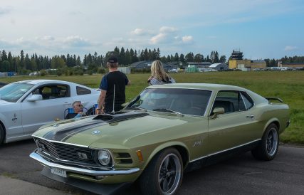 Mustang 26