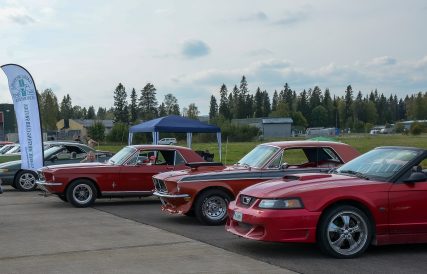 Mustang 27