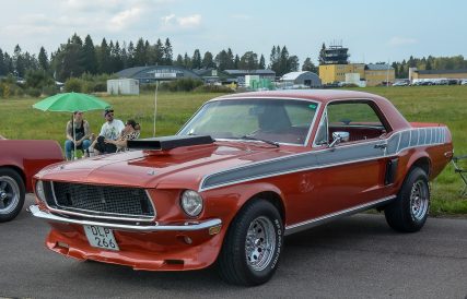 Mustang 29