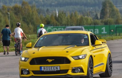 Mustang 31