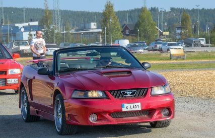 Mustang 33