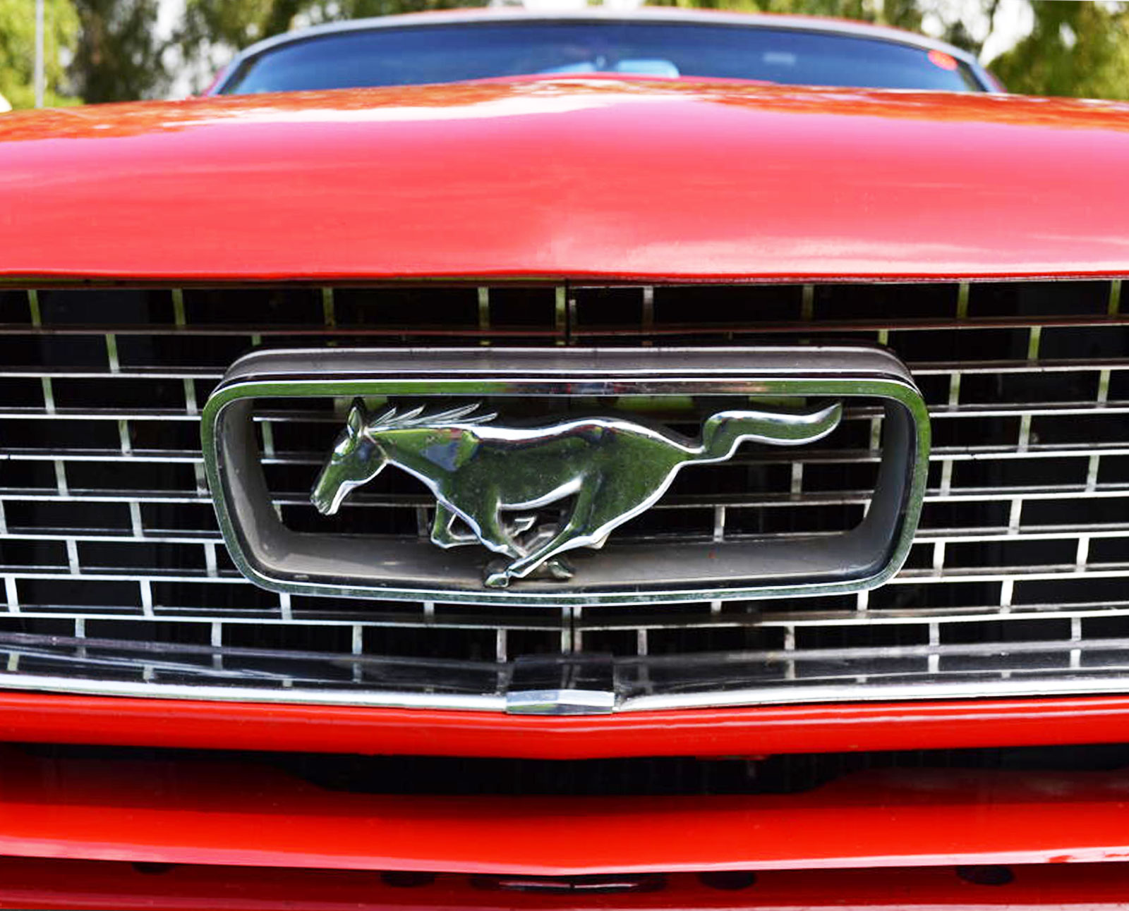 mustang front grill