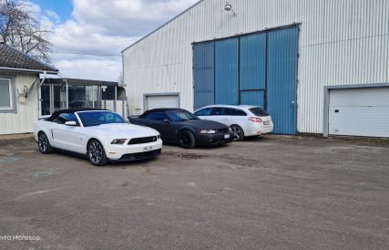 Mustangens fodelsedag 01