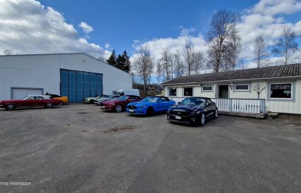 Mustangens fodelsedag 02