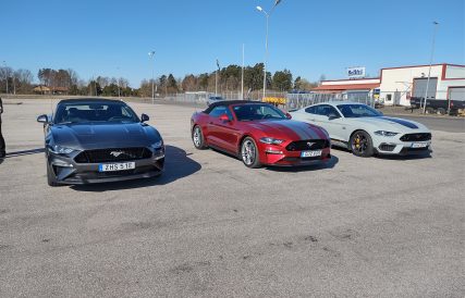 Mustangens fodelsedag 02
