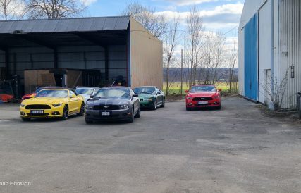 Mustangens fodelsedag 03