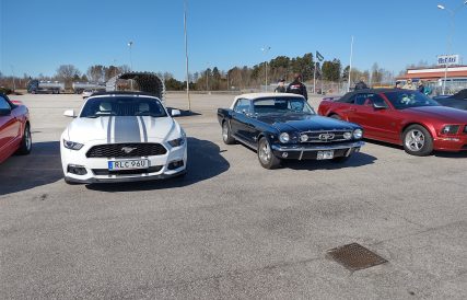 Mustangens fodelsedag 08