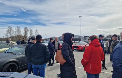 Mustangens fodelsedag 11