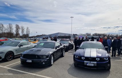 Mustangens fodelsedag 12