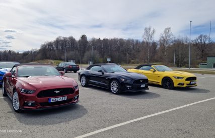 Mustangens fodelsedag 13