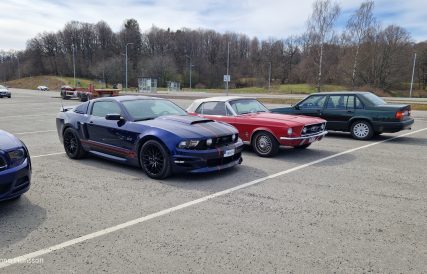 Mustangens fodelsedag 14