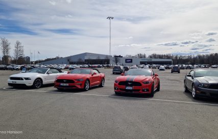 Mustangens fodelsedag 17