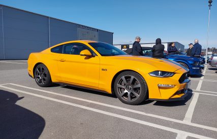 Mustangens fodelsedagstur 15