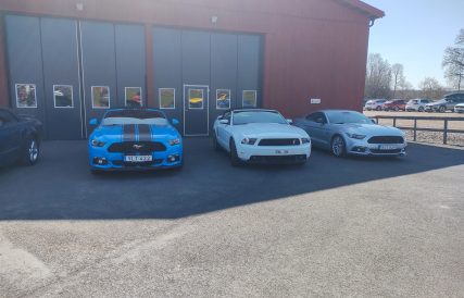 Mustangens fodelsedagstur 19