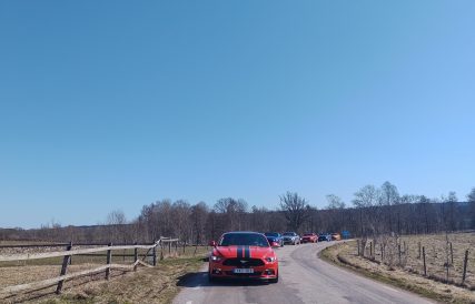 Mustangens fodelsedagstur 2