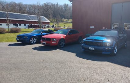 Mustangens fodelsedagstur 20