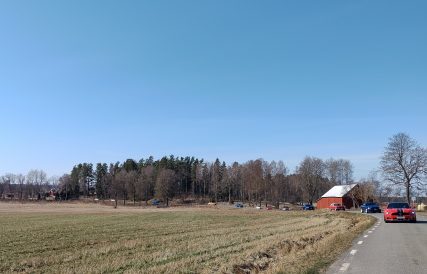 Mustangens fodelsedagstur