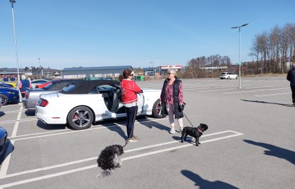 Mustangens fodelsedagstur 7