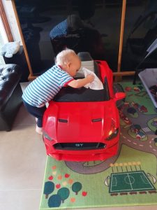 Mustangfantast 1