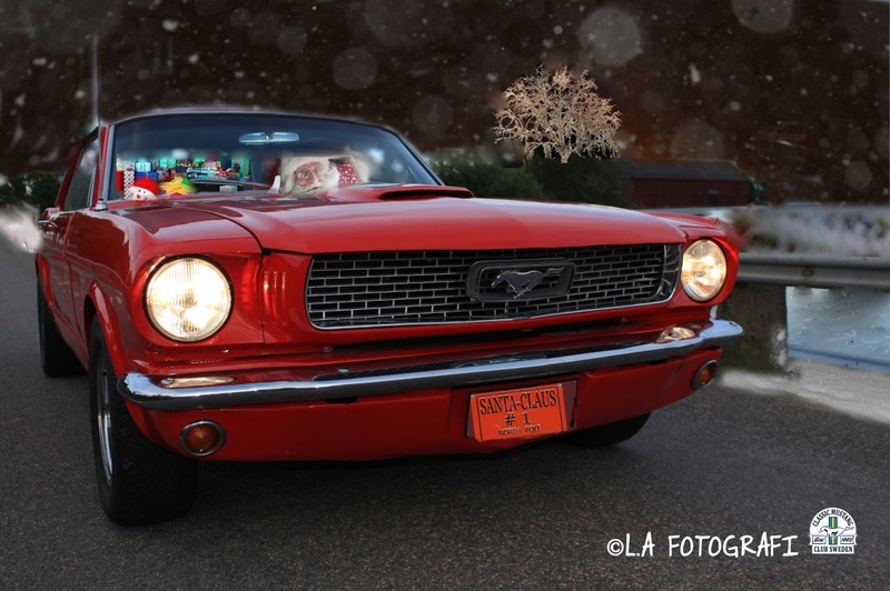 mustangtomte_logo2.jpg