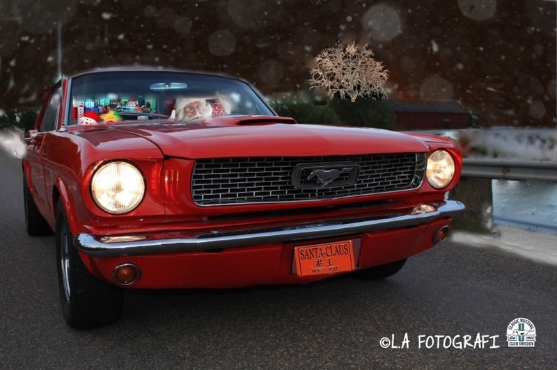 mustangtomte_logo3.jpg