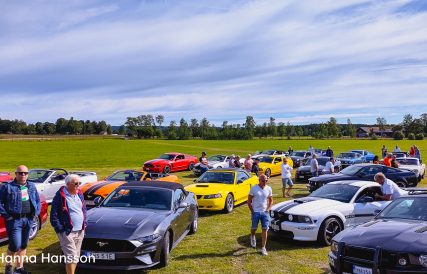 Mustangtraff Karlskoga 17