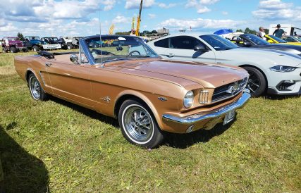 Nasco Yankee Meet 38