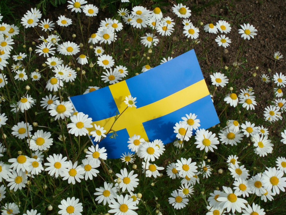 Nationaldagen den 6 juni