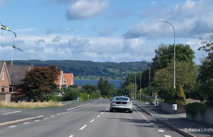 Ostkaka 06