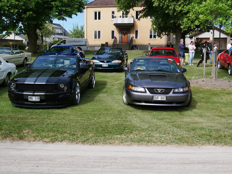 P1000082.JPG