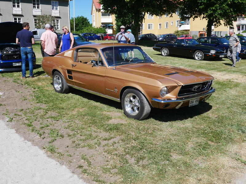P1000091.JPG