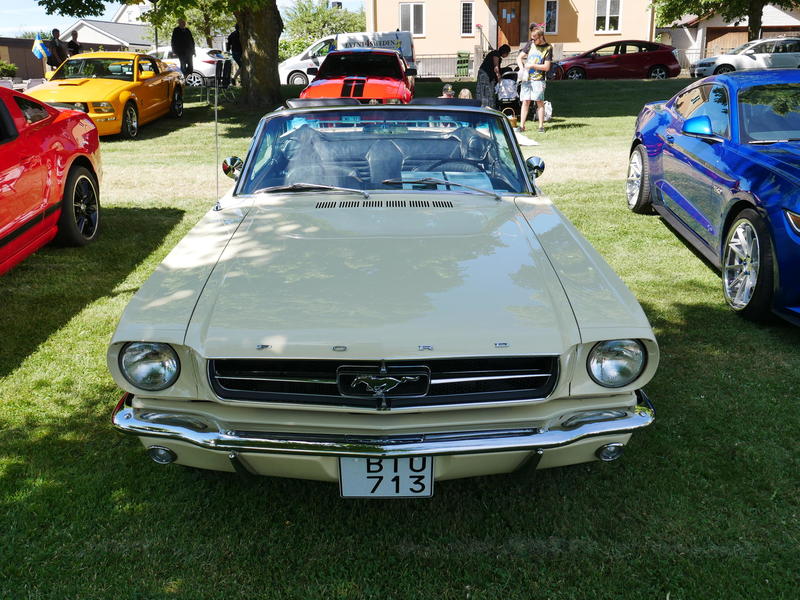 P1000098.JPG