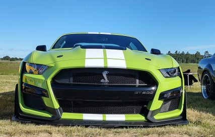 Power Big Meet 11
