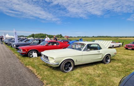 Power Big Meet 18