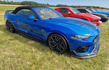 Power Big Meet 22
