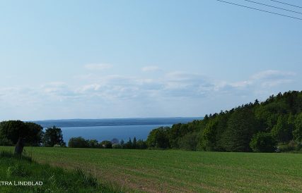 Vattern runt P 54